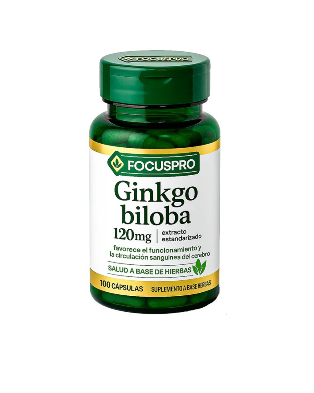 FOCUS PRO – MEGA PROMOCIÓN – Solo por tiempo limitado - Hasta agotar existencias